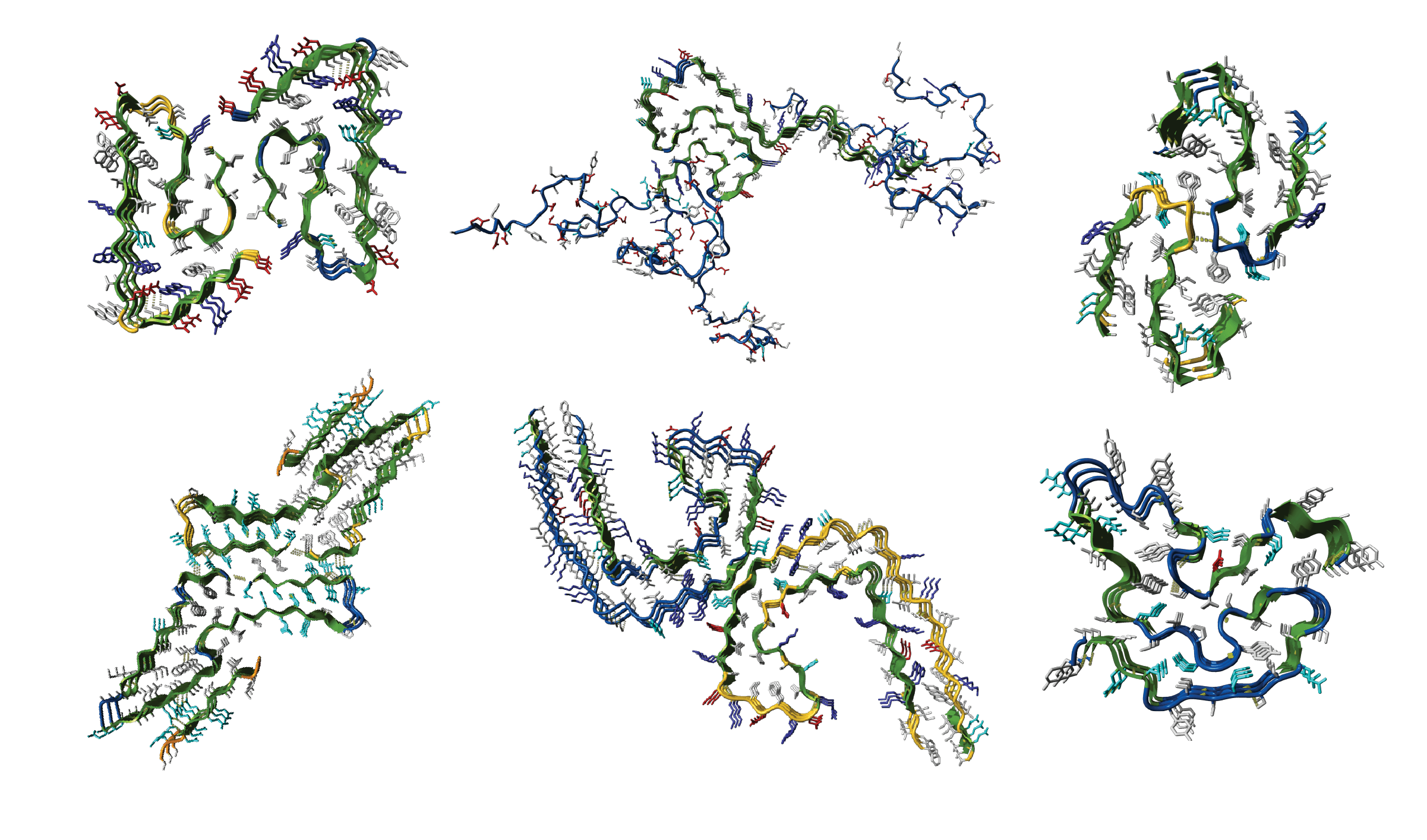 Examples of amyloid fibril structures